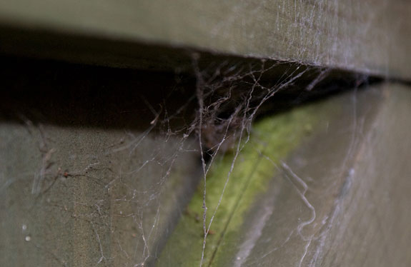 Photo by mikemackay82